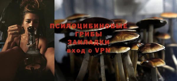 дмт Алзамай