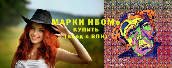 дмт Алзамай