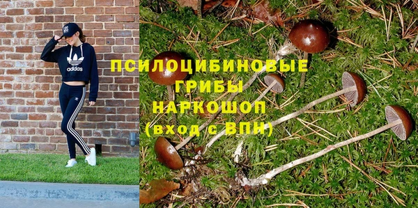 сатива Алексеевка