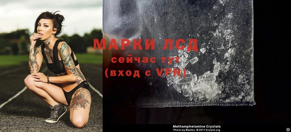 дмт Алзамай